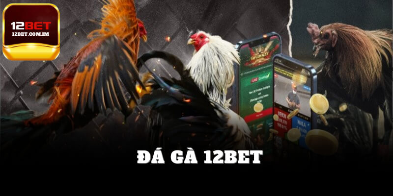Đá gà 12bet