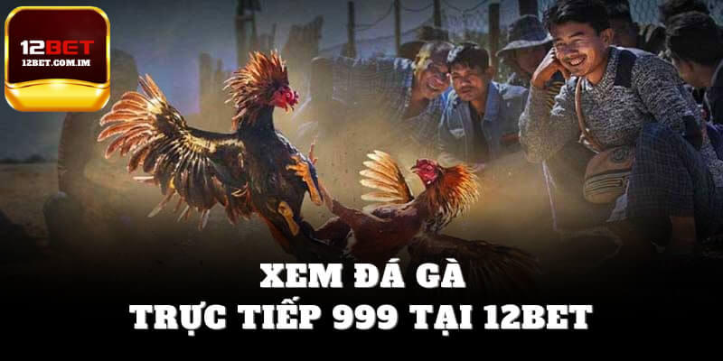 Xem đá gà trực tiếp 999 tại 12bet