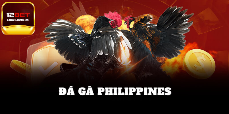 Đá gà Philippines