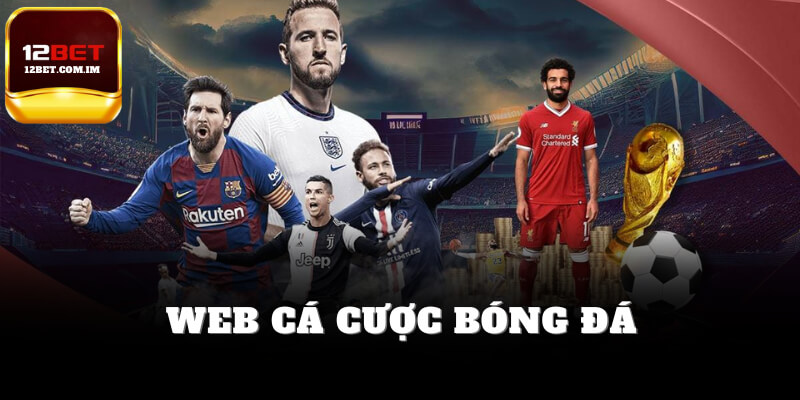 Web cá cược bóng đá